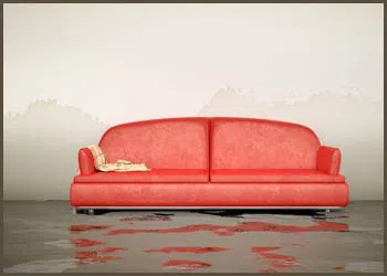 Royal Palm Beach Restoration Company Royal Palm Beach, FL 561-403-0150 - city-page-flood