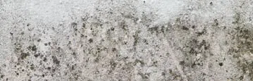 logo-image - mold-subbanner