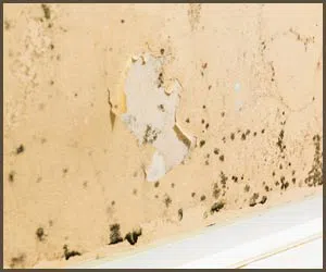 Royal Palm Beach Restoration Company Royal Palm Beach, FL 561-403-0150 - water-damage-side