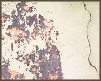 Royal Palm Beach Restoration Company Royal Palm Beach, FL 561-403-0150 - water-damage-sidebar